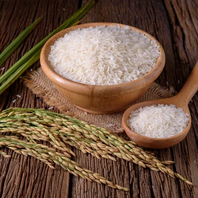 درباره دل بهار سبز ایرانیان